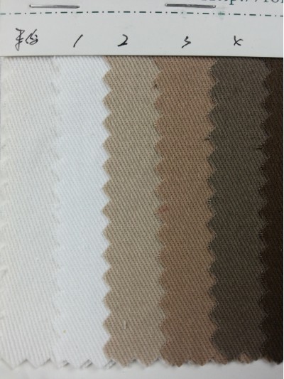 DG-RGFA  全棉斜紋 108*58 側面照